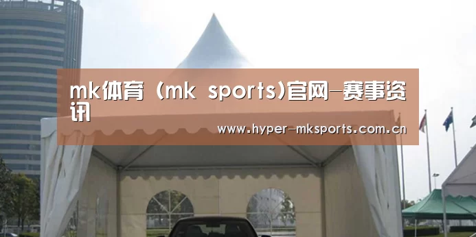 案例标题八