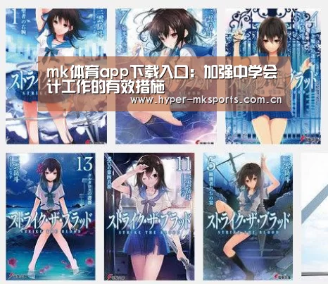 mk体育app下载入口:加强中学会计工作的有效措施