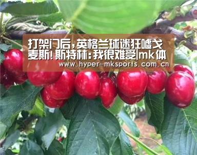 mk体育app